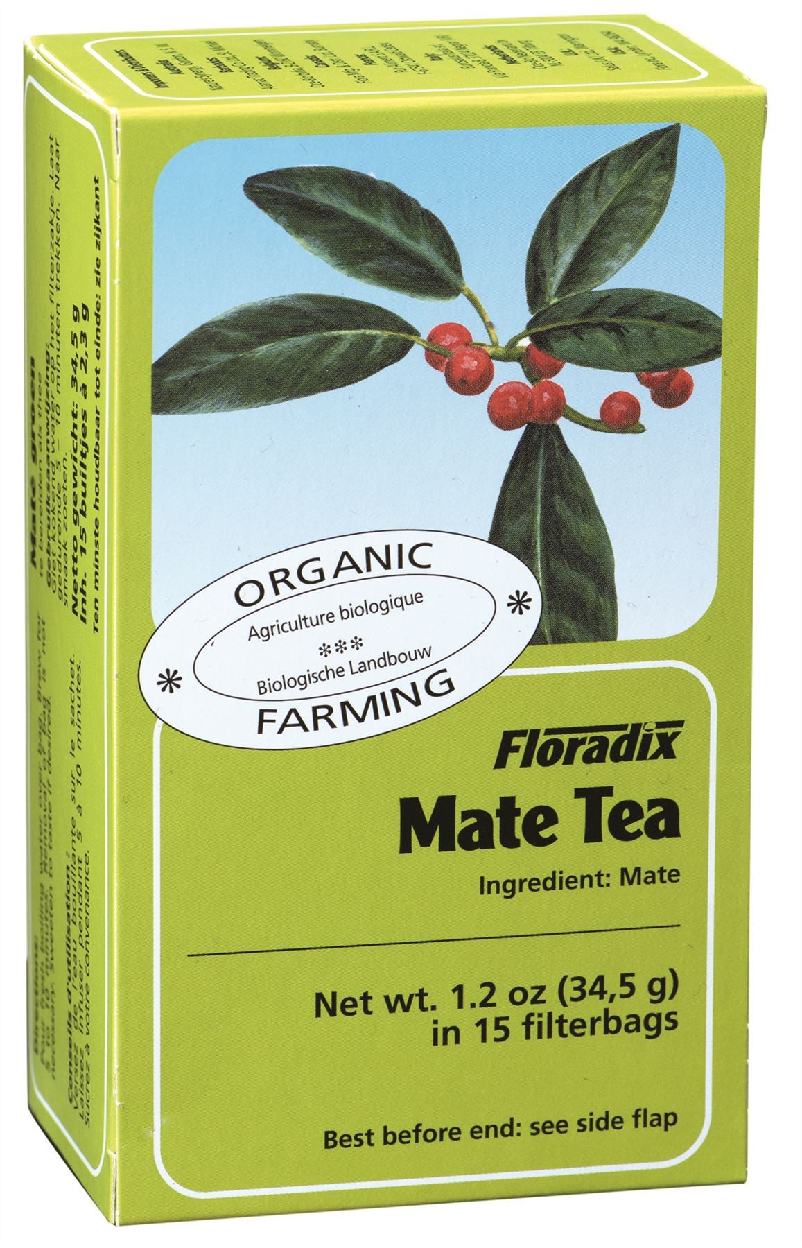 Salus Floradix - Organic Mate Herbal Tea - 15 Bags
