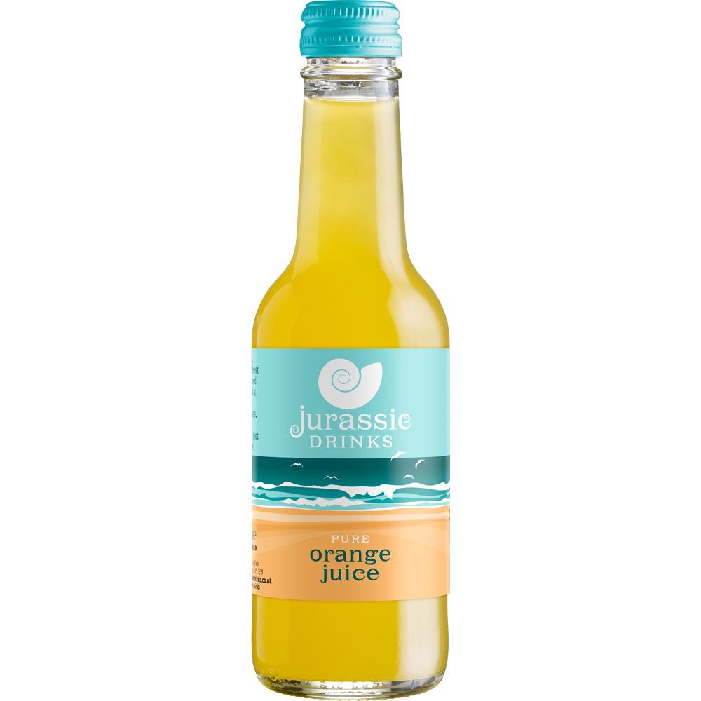 Jurassic Drinks Pure Orange Juice 250ml - 2 Pack
