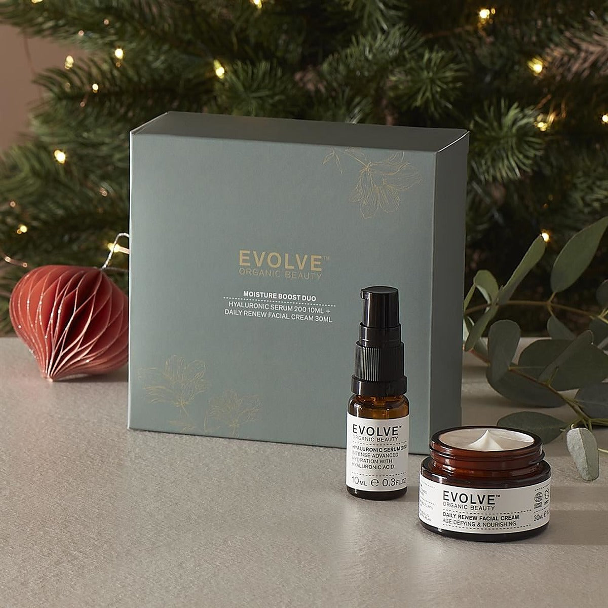 Evolve Organic Beauty Moisture Boost Duo Christmas Gift