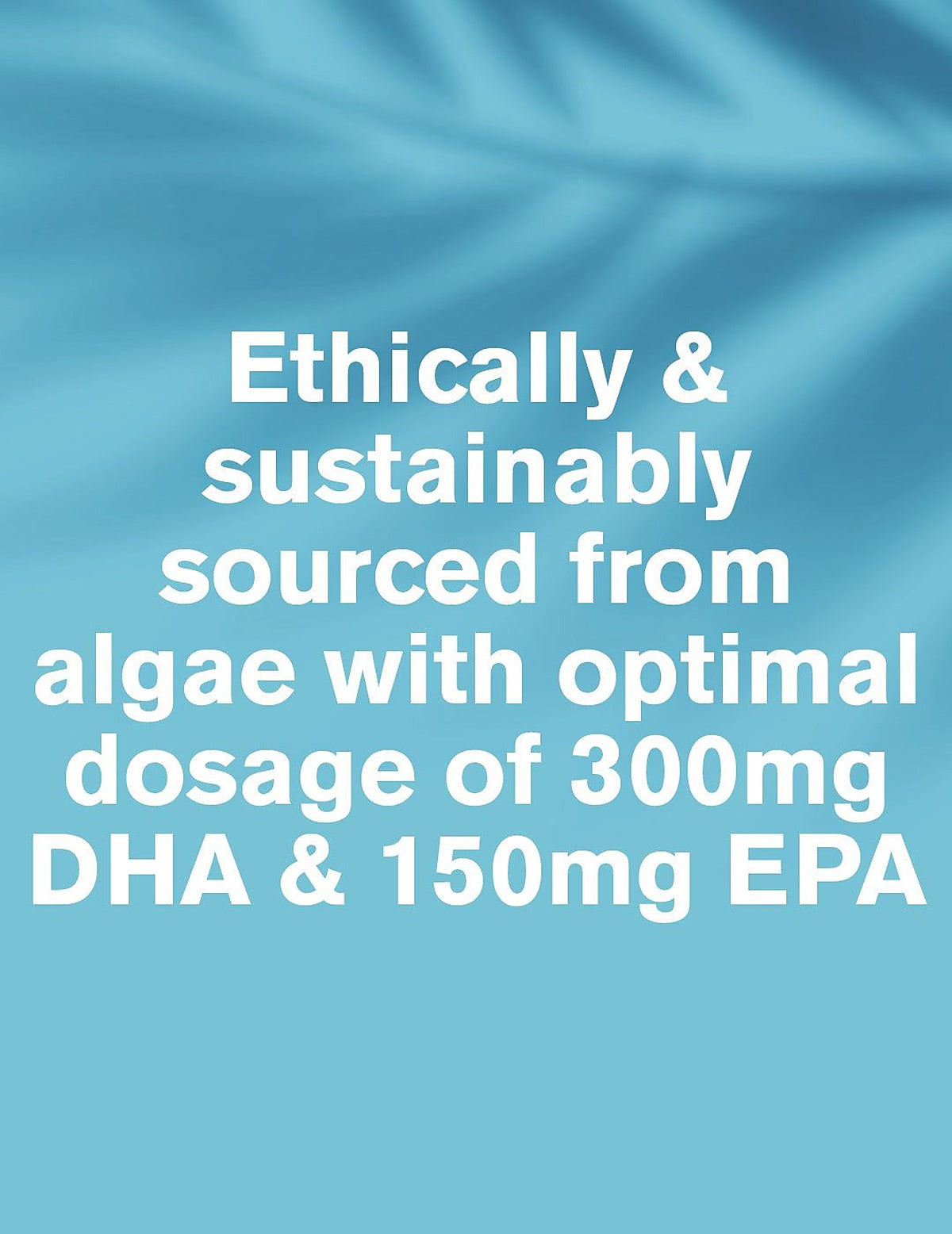 Dr. Vegan Vegan Omega 3 - 60 Softgels - image 2