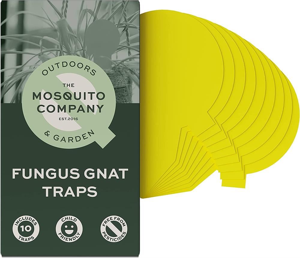 The Mosquito Company Fungus Gnat Sticky Traps 10 traps