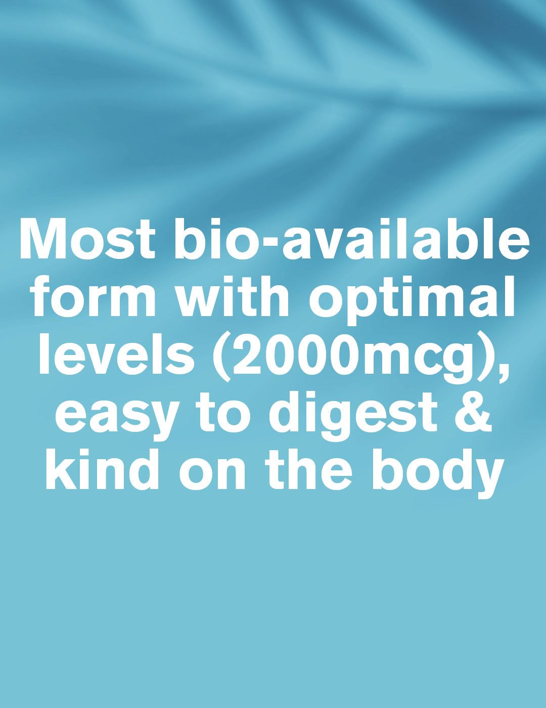 Dr. Vegan Vitamin B12 - 30 Capsules