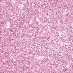 Stargazer Loose Powder Eye Dust Eye Shadow Pigment