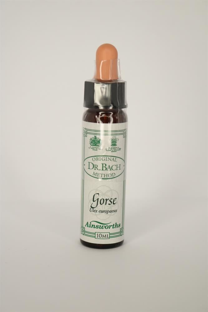 Dr Bach Gorse Bach Flower Remedy 10ml