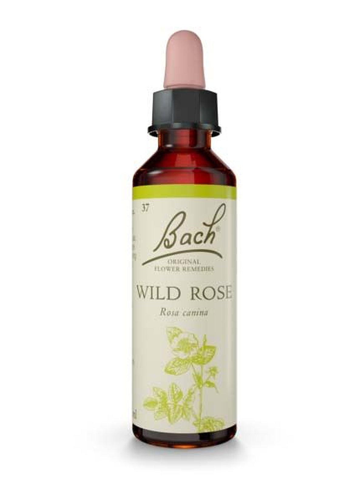 Nelsons Bach Original Flower Remedies 20ml (Copy) - image 8