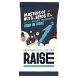 RAISE Snacks Dark Chocolate & Sea Salt Clusters of Nuts and Seeds 35g - 12 Pack