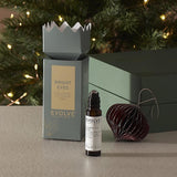 Evolve Organic Beauty Bright Eyes Christmas Cracker