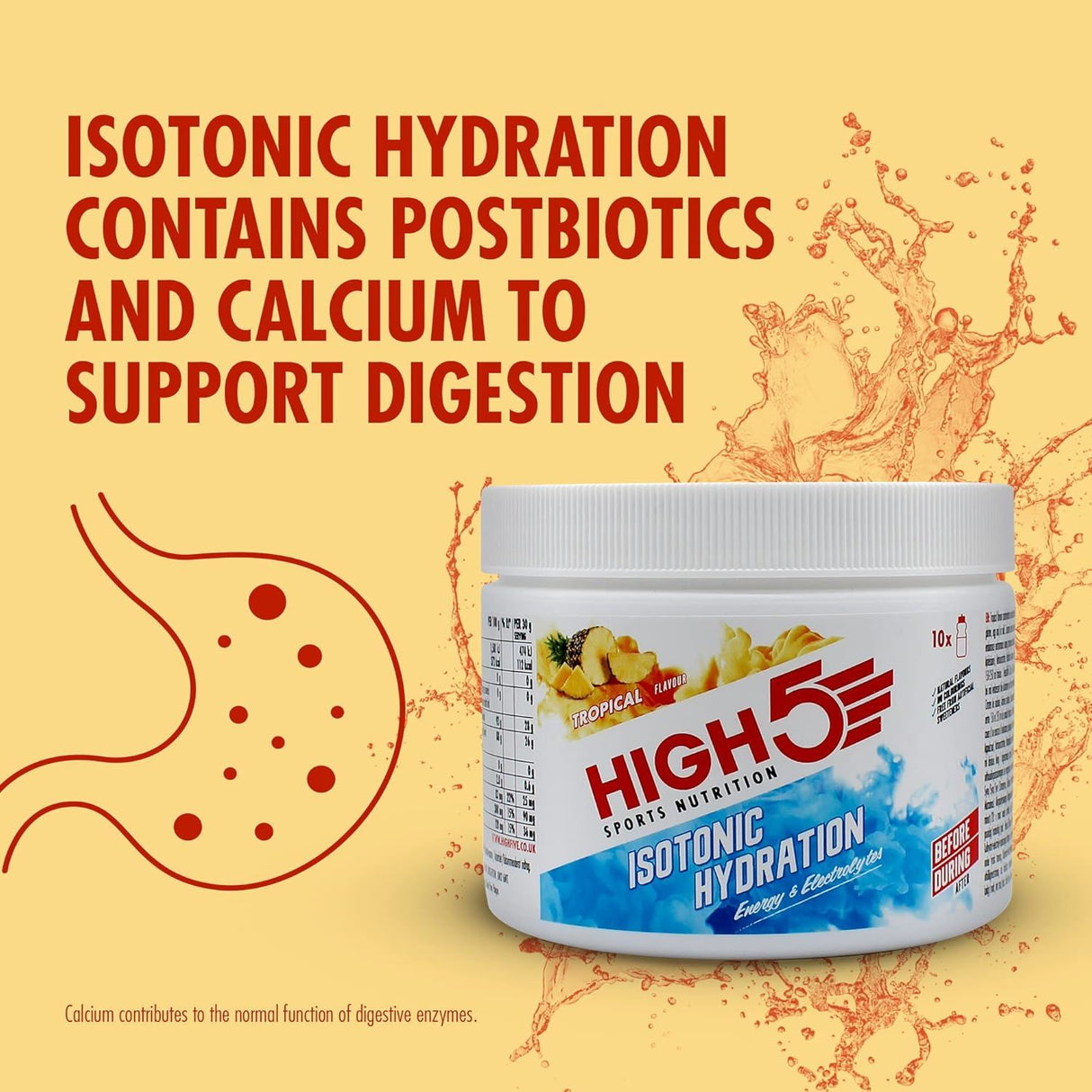 High 5 Isotonic Hydration 300g - Tropical
