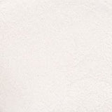 Stargazer Loose Powder Eye Dust Eye Shadow Pigment