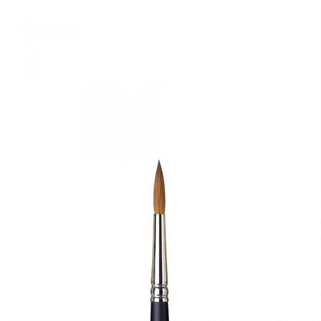 Winsor & Newton Professional Watercolour Sable Brush Round - All Sizes