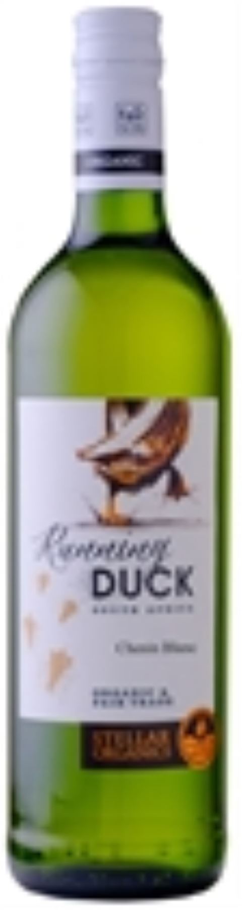 V Collection White Wine - Chenin Blanc Running Duck South Africa 750ml