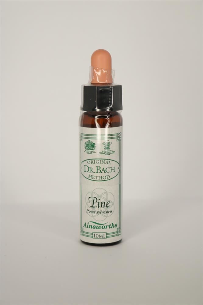 Dr Bach Pine Bach Flower Remedy 10ml