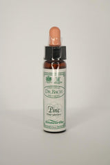 Dr Bach Pine Bach Flower Remedy 10ml
