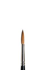 Winsor & Newton Sable Series 7 Brush - All Sizes