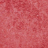 Stargazer Loose Powder Eye Dust Eye Shadow Pigment