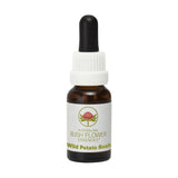 Australian Bush Flower Essences - Stock Essences 15ml