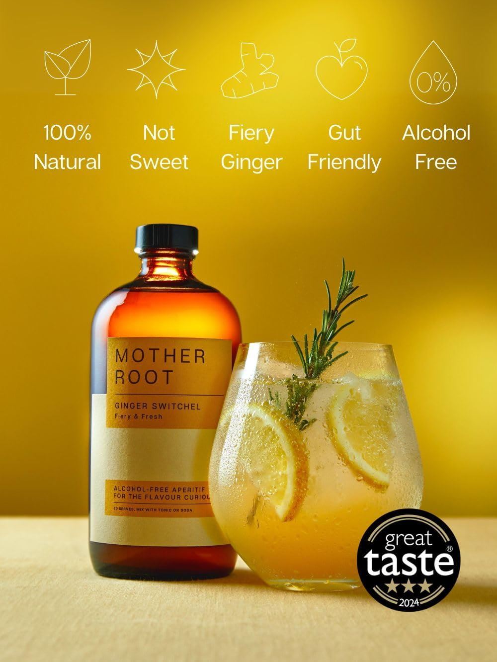 Mother Root Ginger Switchel Fiery & Fresh Alcohol-Free Aperitif 480ml