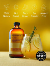 Mother Root Ginger Switchel Fiery & Fresh Alcohol-Free Aperitif 480ml