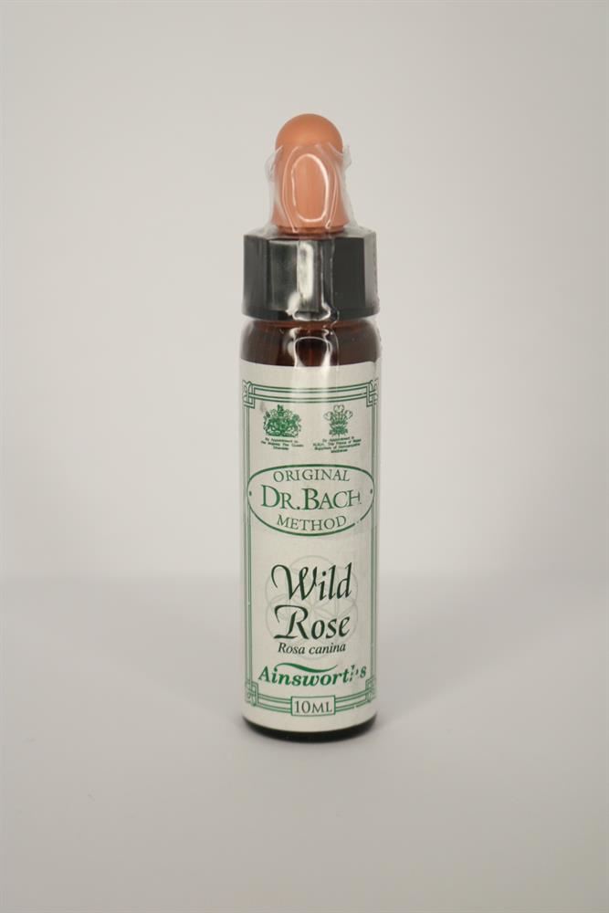 Dr Bach Wild Rose Bach Flower Remedy 10ml