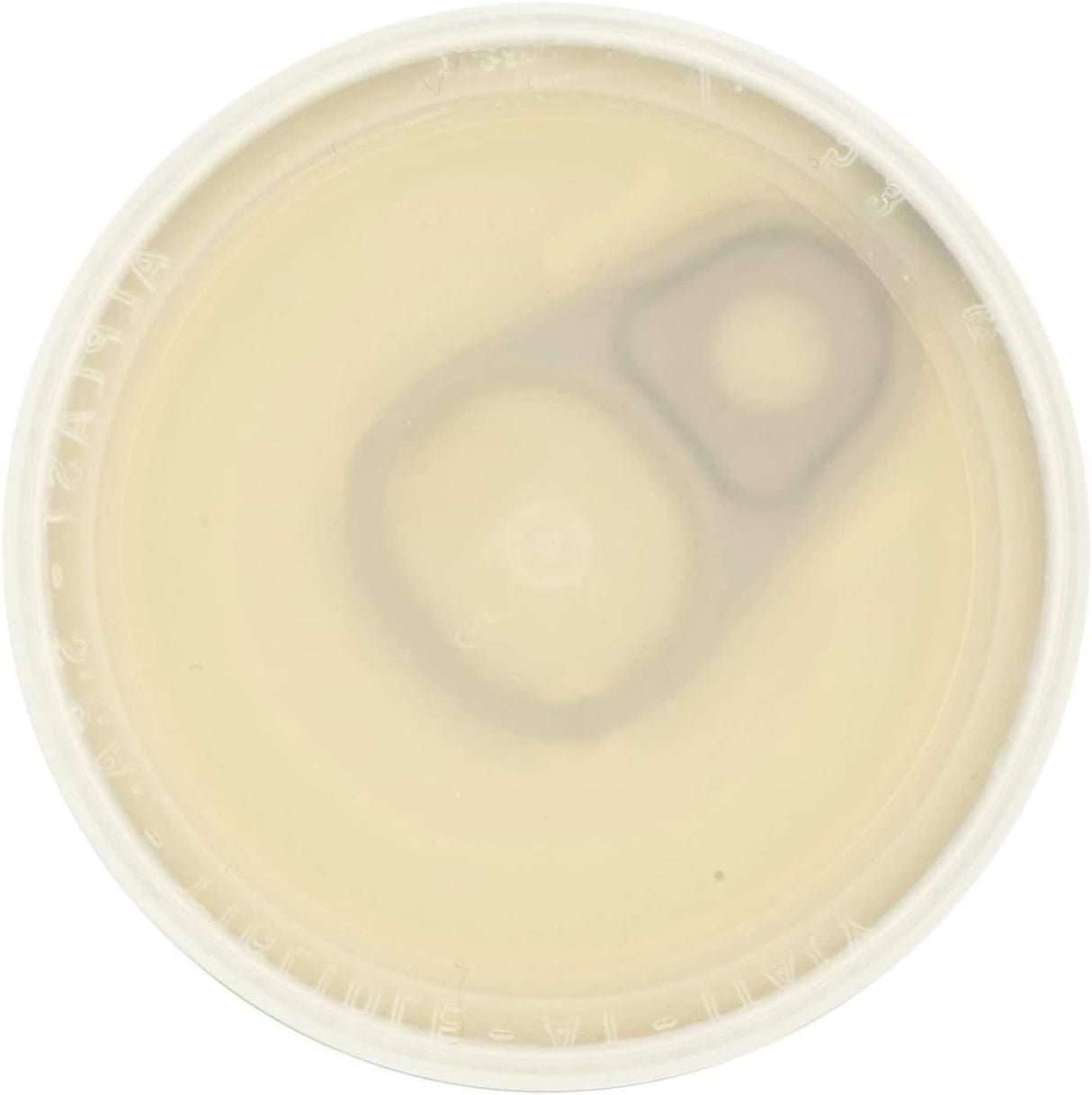 Caputo Farina Dry Yeast 100% Italian 100g - Pack of 3