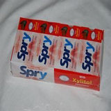 Spry Cinnamon Xylitol Gum 10 pieces - 20 Pack