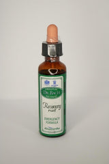 Dr Bach Bach Recovery Remedy Plus 20ml