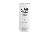 Vital Fizz Accelerate - Ginger & Mint Lions Mane Drink 250ml - 12 Pack