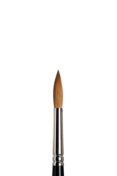 Winsor & Newton Sable Series 7 Brush - All Sizes