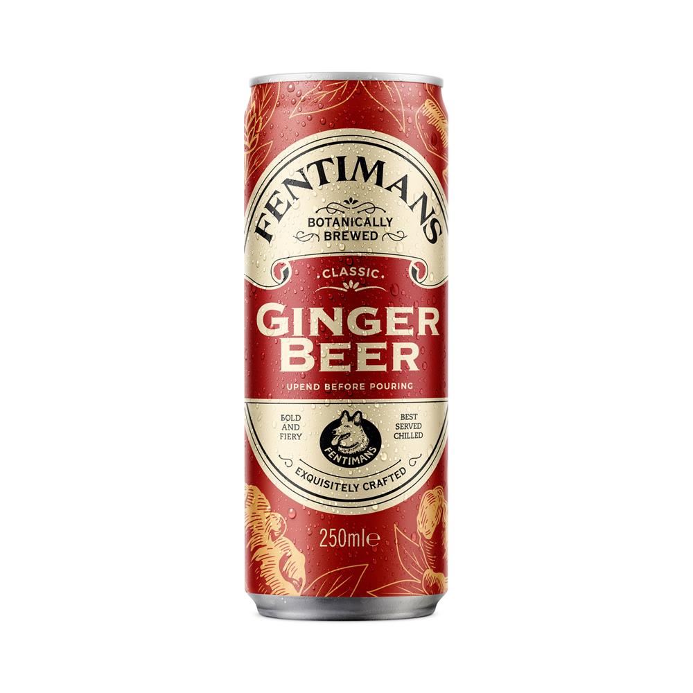 Fentimans Ginger Beer 250ml - 3 Pack