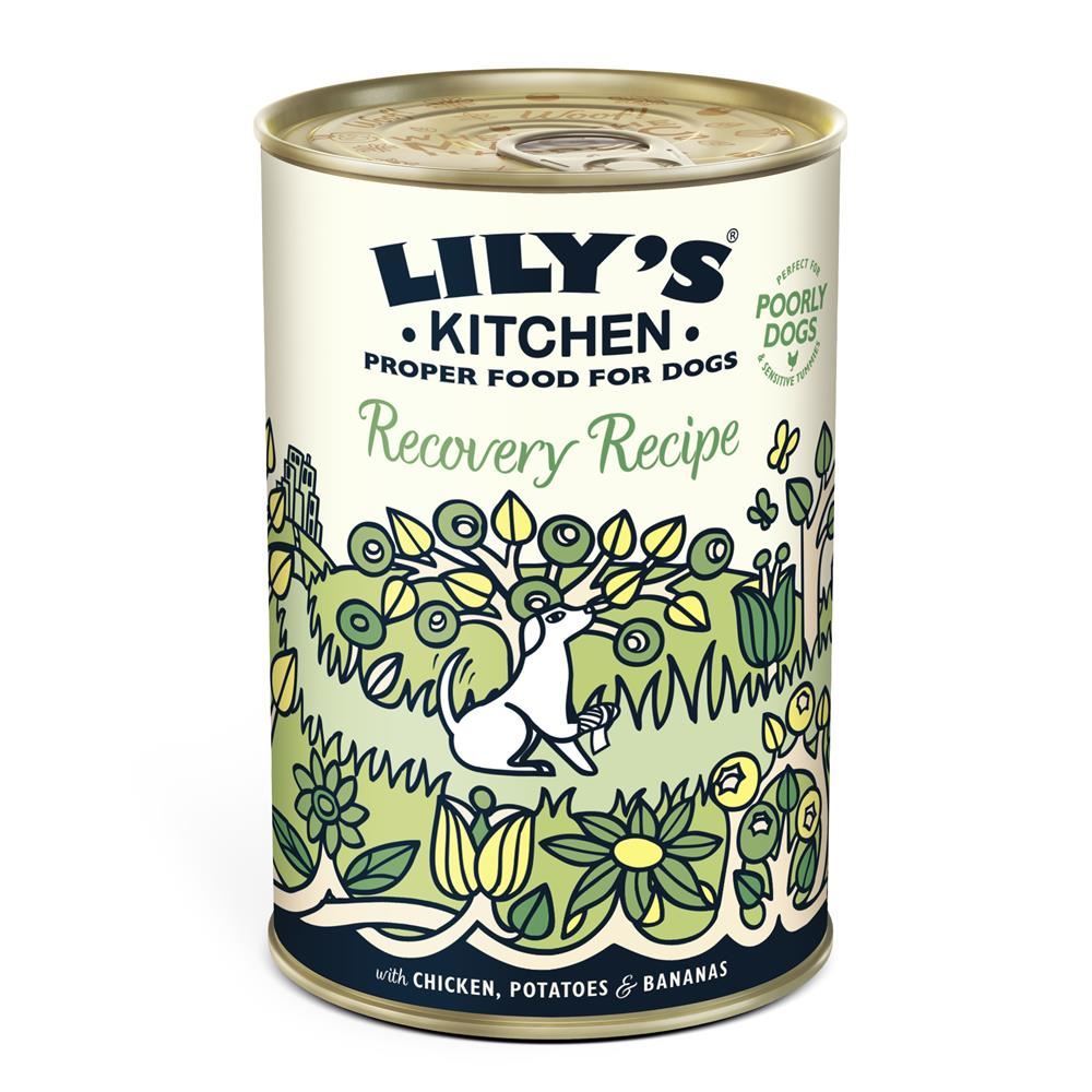 Lilys Kitchen Recovery Recipe 400g - 6 Pack