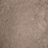 Stargazer Loose Powder Eye Dust Eye Shadow Pigment