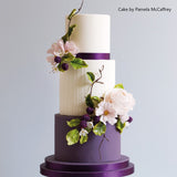 Squires Kitchen SFP Sugar Florist Paste Cake Decorating - All Shades