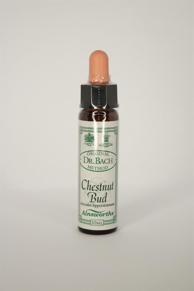 Dr Bach Chestnut Bud Bach Flower Remedy 10ml