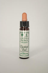 Dr Bach Chestnut Bud Bach Flower Remedy 10ml