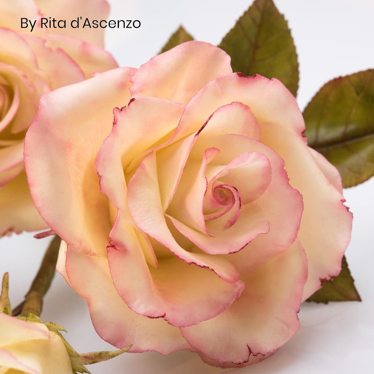 Saracino Bouquet Sugar Paste Modelling Paste for Sugar Flowers Gluten Free 1 KG Made in Italy