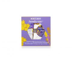 Burt's Bee Lip & Hand Gift - Lavender & Honey