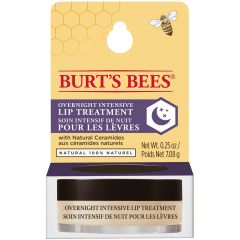 Burt's Bee Overnight Lip Treatment