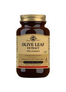 Solgar Olive Leaf Extract - 60 Vegicaps