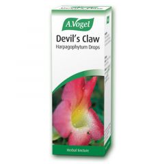 A. Vogel Devil's Claw Tincture 50ml   